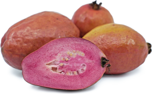 Guava Purple Malay