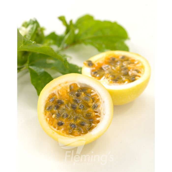 Passion fruit - Inca Gold