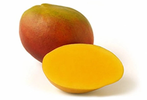 Kent Mango Mango Kent