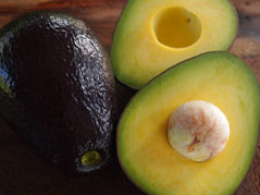 Avocado Linda (B type) 2l