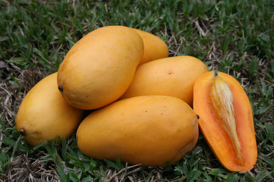 Mango Orange Sherbert 2l