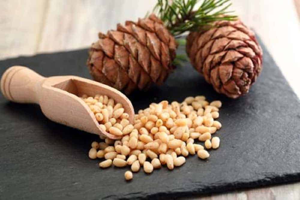 Pine Nut