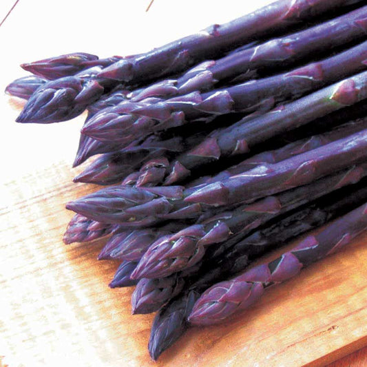 Asparagus - Purple