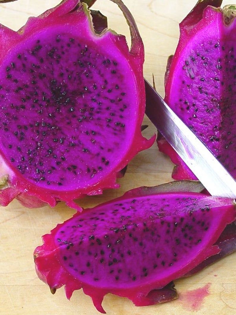 Dragon fruit - Scotts Purple