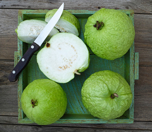 Guava Thai White