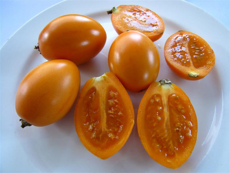 Tamarillo - Yellow