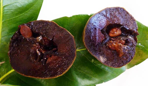 Black Sapote Tahiti