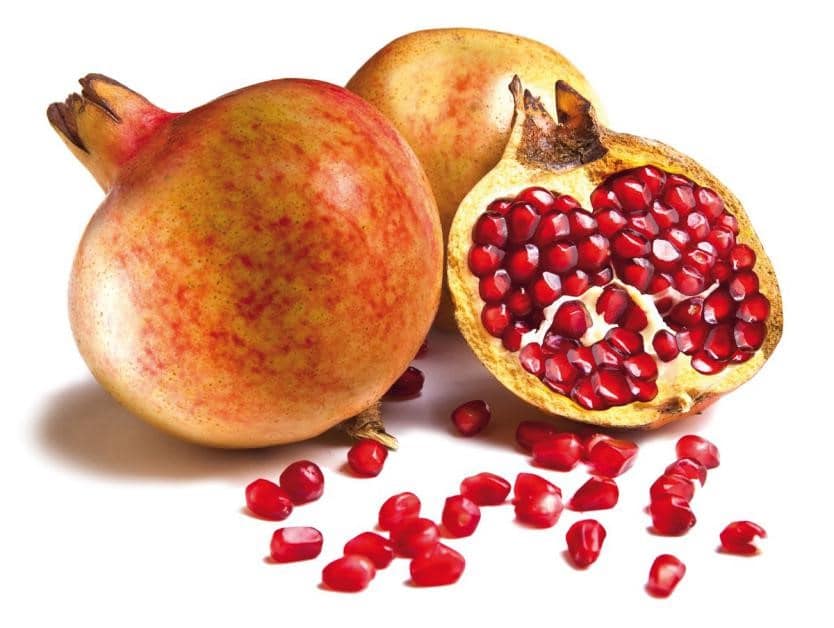 Pomegranate Elche 140mm