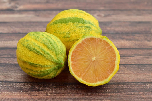 Variegated Lemon Eureka (QLD ONLY)