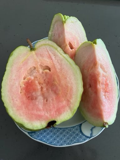 Guava Thai Pink