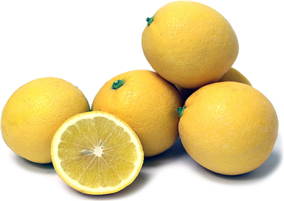 Dwarf - Lemonade (Qld only)