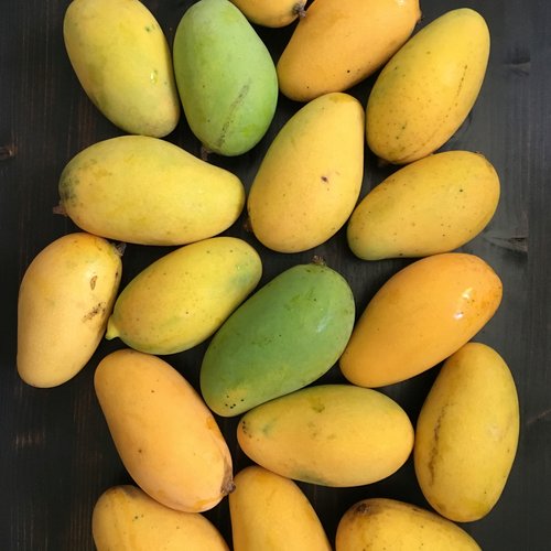 Mango Lemon Meringue - PPK