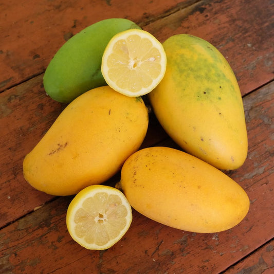 Mango Lemon Zest 2l