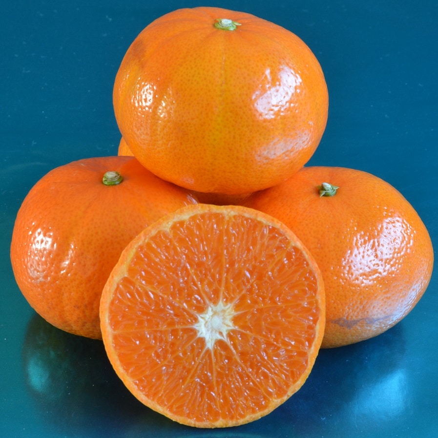 Mandarin- Honey Murcott (Qld only)