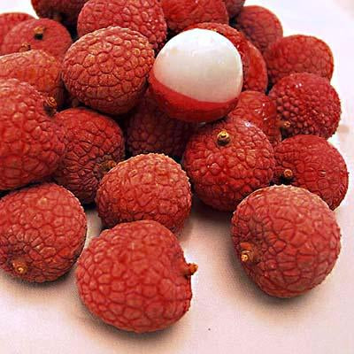 Lychee - Red Ball