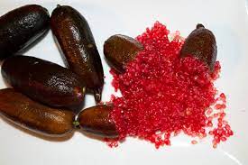 Finger Lime Red champagne (Qld only)