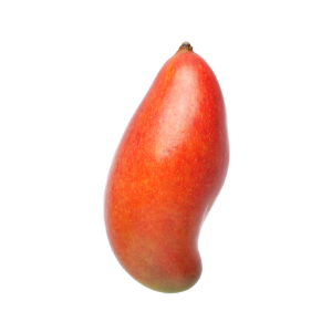 Mango Sabre