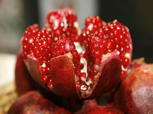 Pomegranate - Sheperd's Special