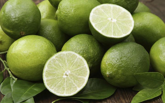 Lime-Tahitian Cutting Grown (Qld only)