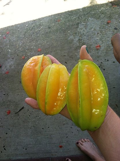 Star fruit Thai Knight