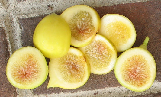 Fig - Excel Yellow